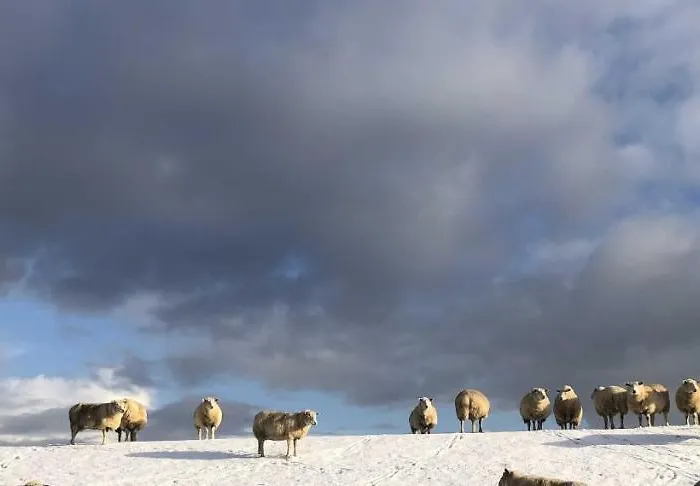 Tief 10 Seemann 605 西里格